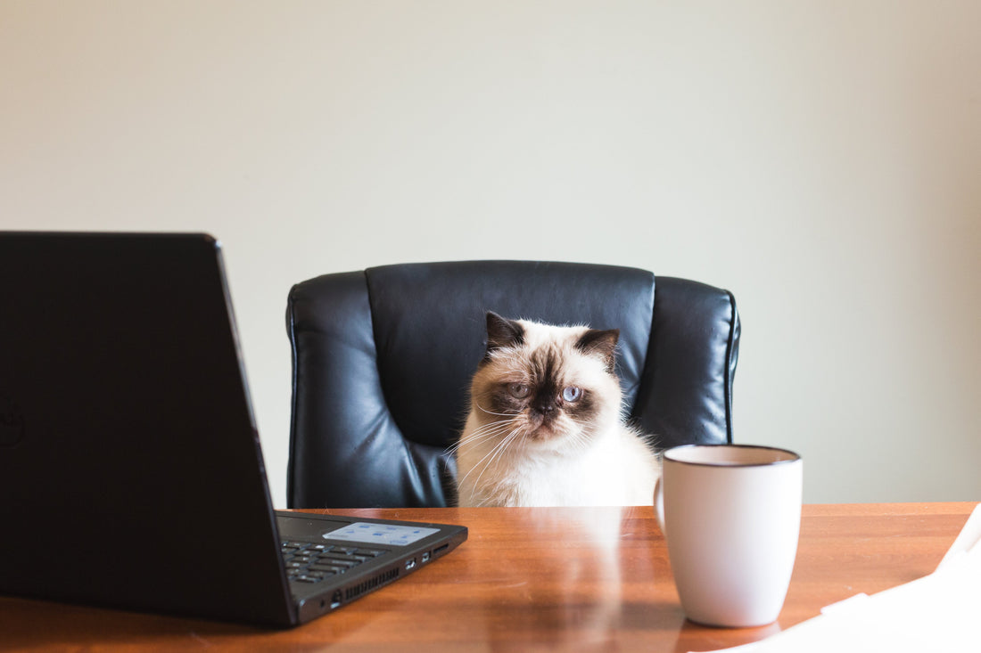 Smart Tax Planning for Small Businesses: What to Organize Before Filing Season